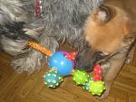     
: IMG_4144.jpg
: 8
:	129.7 
ID:	5547919