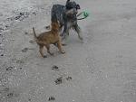     
: IMG_4134.jpg
: 6
:	136.2 
ID:	5547922