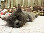     
: 2013-01-21 20.35.49.jpg
: 6
:	131.4 
ID:	5547959