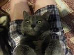     
: 2013-01-13 17.41.08.jpg
: 4
:	156.0 
ID:	5547960
