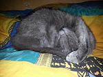     
: 2013-01-10 23.23.32.jpg
: 4
:	210.8 
ID:	5547961