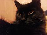     
: 2013-01-16 22.27.58.jpg
: 5
:	128.6 
ID:	5548007