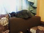     
: 2013-01-14 16.05.09.jpg
: 4
:	152.9 
ID:	5548008