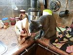     
: 2013-01-05 21.53.51.jpg
: 4
:	181.8 
ID:	5548108