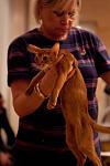     
: fife_kiev-183.jpg
: 28
:	59.7 
ID:	555154