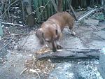     
: IMG_20130123_163540.jpg
: 26
:	151.1 
ID:	5558502