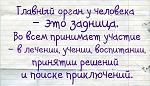     
: 12.jpg
: 6
:	56.8 
ID:	5558684