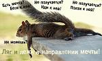     
: 13.jpg
: 3
:	52.1 
ID:	5558685