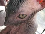     
: IMG_6212.jpg
: 21
:	117.2 
ID:	556017