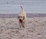     
: zwKTK80sjzg.jpg
: 1
:	222.9 
ID:	5564457