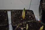     
: _DSC1122.jpg
: 20
:	80.4 
ID:	5565361