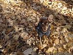     
: DSC03867.jpg
: 27
:	238.9 
ID:	5566408