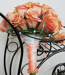    
: DSC_0001.jpg
: 27
:	98.2 
ID:	5567823