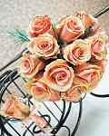     
: DSC_0002.jpg
: 43
:	117.0 
ID:	5567863