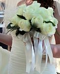     
: DPP_0147.jpg
: 46
:	47.1 
ID:	5567918