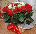     
: DSC_0254.jpg
: 71
:	142.4 
ID:	5568427
