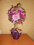    
: DSCN4158.jpg
: 4
:	107.5 
ID:	5568527