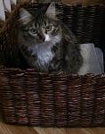     
: IMG_7598.jpg
: 27
:	99.5 
ID:	5573426