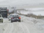     
: S5030359.jpg
: 31
:	38.3 
ID:	5575588