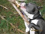     
: IMG_1520.jpg
: 47
:	185.5 
ID:	557866