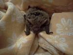     
: IMG_20130125_202721.jpg
: 6
:	114.5 
ID:	5578813