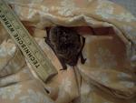     
: IMG_20130125_202804.jpg
: 13
:	94.9 
ID:	5578816