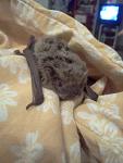     
: IMG_20130125_202900.jpg
: 7
:	79.7 
ID:	5578817