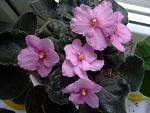     
: DSCF5410.jpg
: 12
:	132.7 
ID:	558004