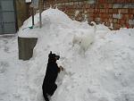     
: DSC02610.JPG
: 4
:	128.5 
ID:	5580740