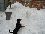     
: DSC02609.JPG
: 4
:	148.3 
ID:	5580741