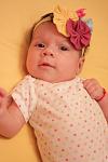     
: IMG_2388.jpg
: 4
:	44.8 
ID:	5584524