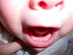     
: DSCN0339.jpg
: 21
:	76.0 
ID:	5587699