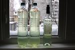     
: IMG_0992.jpg
: 1294
:	105.3 
ID:	5588263