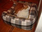     
: DSC03784.JPG
: 3
:	111.4 
ID:	5588604