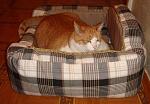     
: DSC03782.JPG
: 6
:	113.3 
ID:	5588605