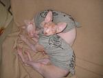     
: IMG_4508.jpg
: 17
:	122.4 
ID:	5588720