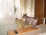     
: DSC02123.jpg
: 12
:	134.8 
ID:	5589341