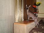     
: DSC01038.jpg
: 7
:	117.7 
ID:	5589343