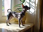     
: DSC03427.jpg
: 13
:	136.6 
ID:	5589344