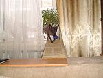     
: DSC02124.jpg
: 10
:	154.4 
ID:	5589345