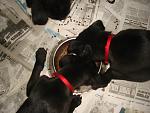     
: DSC08065.jpg
: 10
:	111.8 
ID:	5595082