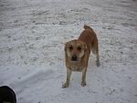     
: DSC01371.jpg
: 9
:	105.3 
ID:	5596970