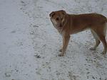     
: DSC01363.jpg
: 8
:	84.0 
ID:	5596971
