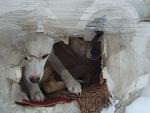     
: DSC01367.jpg
: 10
:	104.3 
ID:	5596972