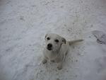     
: DSC01374.jpg
: 10
:	72.5 
ID:	5596976