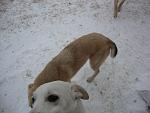     
: DSC01370.jpg
: 9
:	79.7 
ID:	5596979