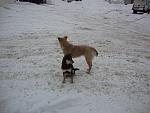     
: DSC01375.jpg
: 8
:	119.7 
ID:	5596980