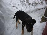     
: DSC01369.jpg
: 13
:	95.2 
ID:	5596983
