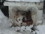     
: DSC01366.jpg
: 9
:	95.4 
ID:	5596987