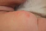     
: IMG_2552.jpg
: 21
:	45.0 
ID:	5597035